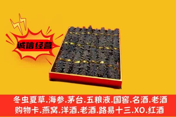 衡水武邑县回收海参